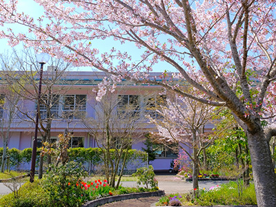 特別養護老人ホーム 春夏秋冬 周辺風景 春
